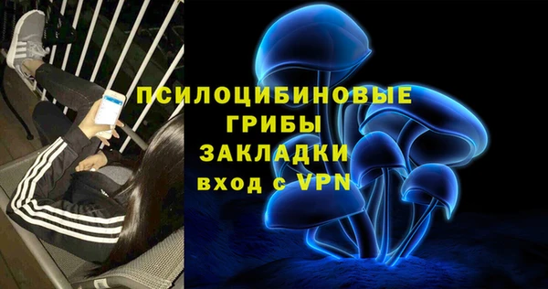 не бодяженный Козловка